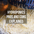Hydroponics pros and cons explained at Mean Green Magazine