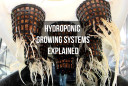 hydroponics growing systems explained