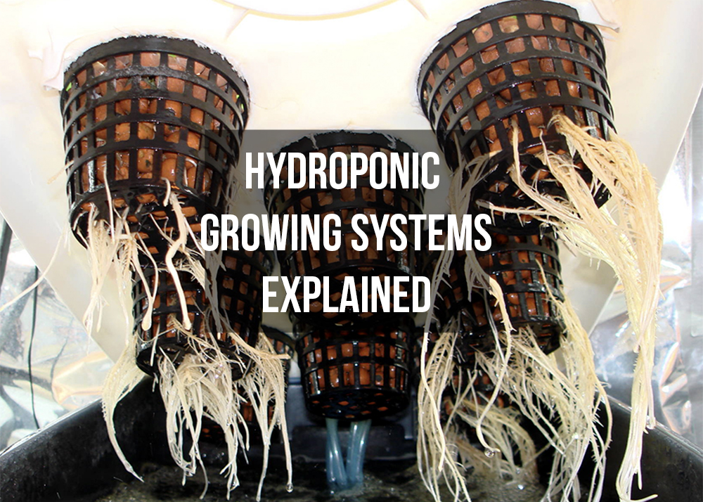 hydroponics growing systems explained